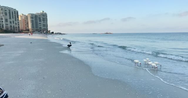 Enjoy Biking with Safety and Respect